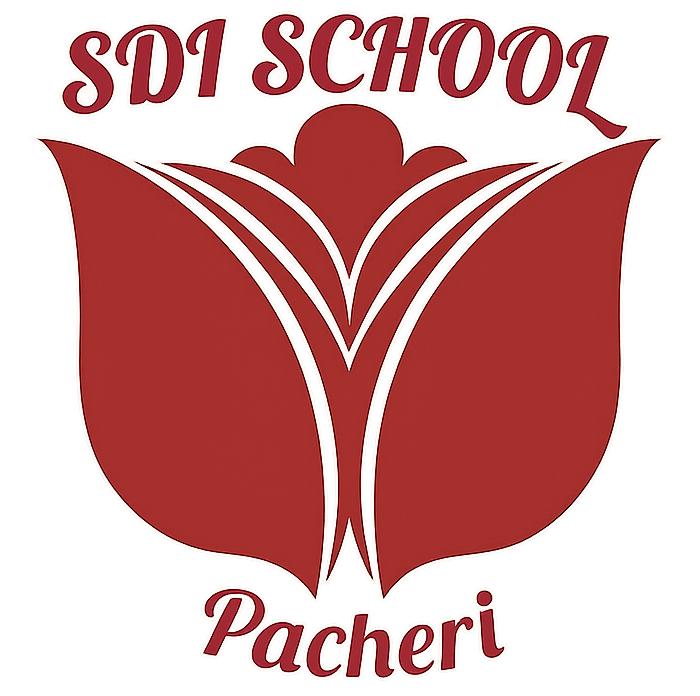 Soni Devi International School